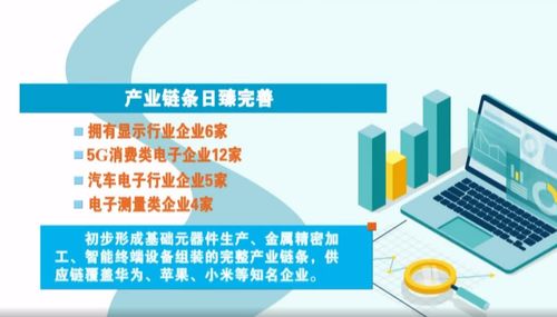 奮進(jìn)在春光里 電子信息產(chǎn)業(yè)滿園春色，賦能向海圖強(qiáng)與信息咨詢服務(wù)共振